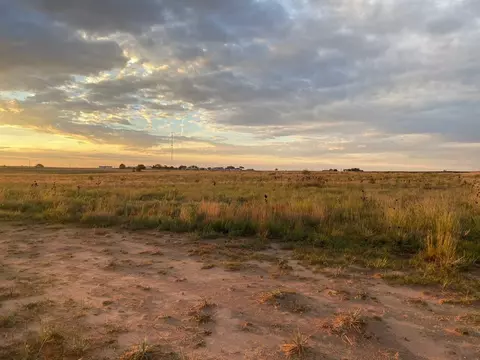 Ellis Street, Smyer, TX 79367