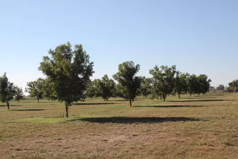 602608 E Joliet St, Muleshoe, TX 79347
