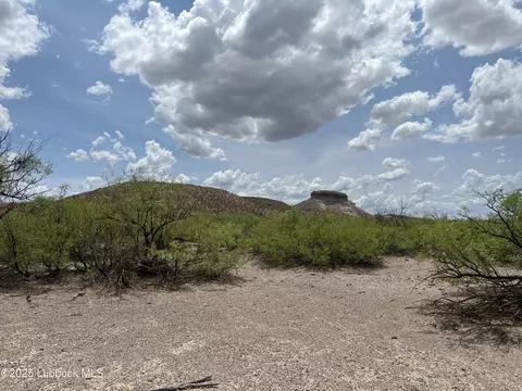 lot S 11-24 Sec 65 Block 2 Tp Presidio County, Presidio, TX 79845