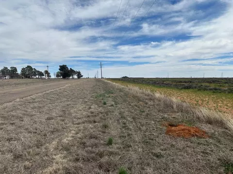 5 Fm 2060, Abernathy, TX 79311