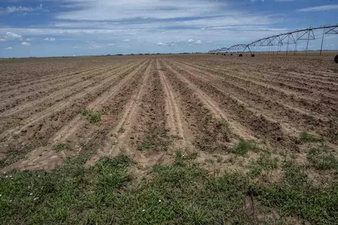 1730 S Slide Rd, New Home, TX 79383