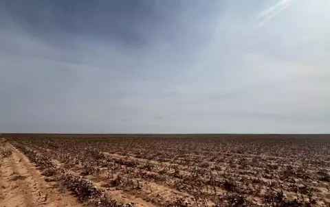 1698 Farms, Brownfield, TX 79316