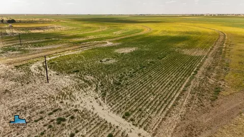 Quail Road Elk Road, Smyer, TX 79367