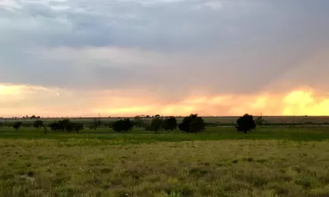 891 Rebecca, Shallowater, TX 79363