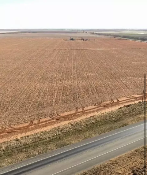 Muleshoe Farms, Muleshoe, TX 79347
