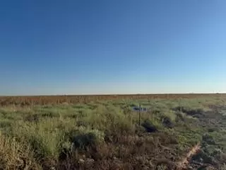 County Rd 1100, Shallowater, TX 79363