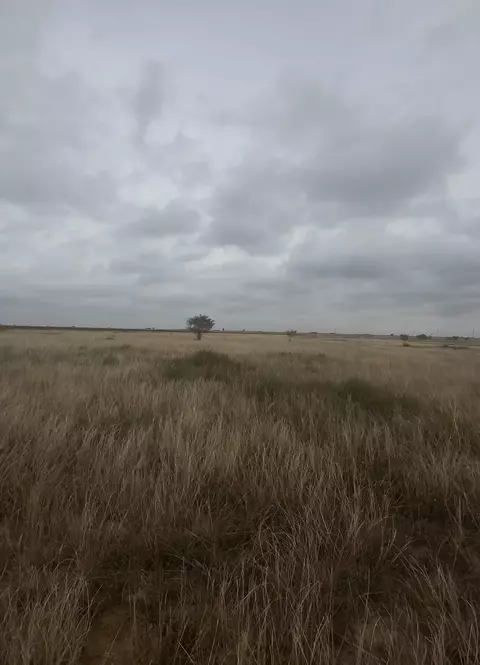 2308 Cr 5100, Abernathy, TX 79311