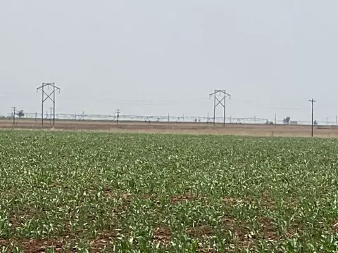 1711 Fm 194, Plainview, TX 79072 photo 4