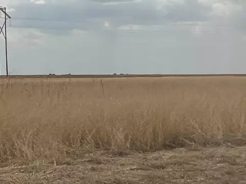 1711 Fm 194, Plainview, TX 79072 photo 6