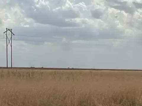 1711 Fm 194, Plainview, TX 79072 photo 5