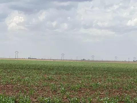 1711 Fm 194, Plainview, TX 79072 photo 3
