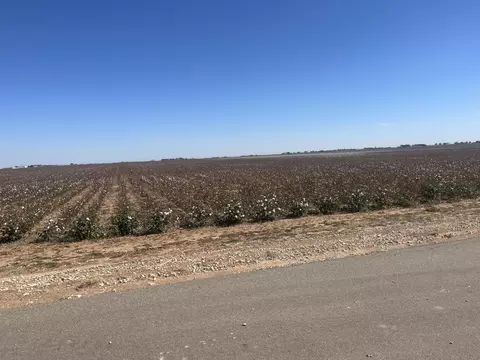 Co Rd 7900, Lubbock, TX 79423