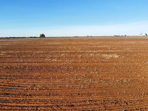 6619 Tiger Rd, Ropesville, TX 79358