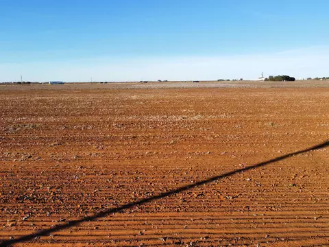 6627 Tiger Rd, Ropesville, TX 79358