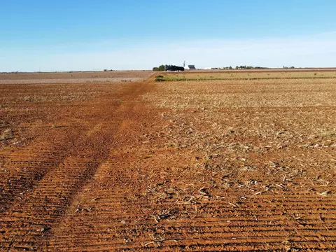 6643 Tiger Rd, Ropesville, TX 79358