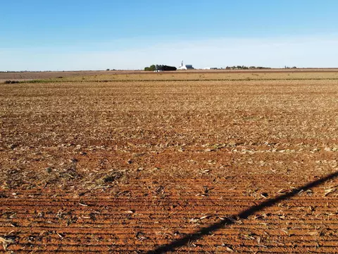 6645 Tiger Rd, Ropesville, TX 79358