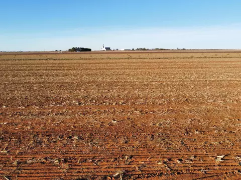 6649 Tiger Rd, Ropesville, TX 79358
