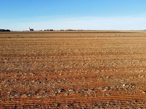 6659 Tiger Rd, Ropesville, TX 79358