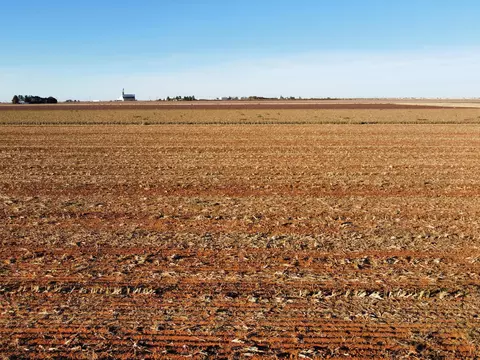 6661 Tiger Rd, Ropesville, TX 79358