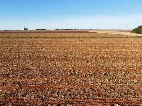 6665 Tiger Rd, Ropesville, TX 79358