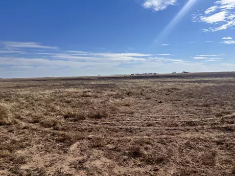0 Fm 1317, New Home, TX 79383