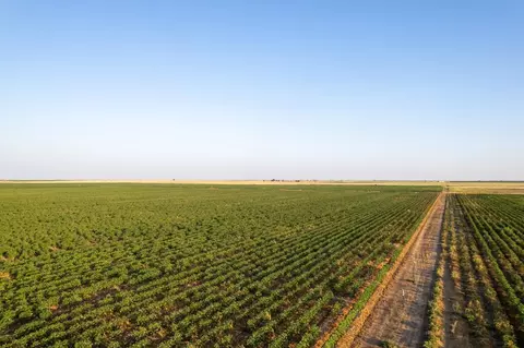 0 Shepard St, Abernathy, TX 79311