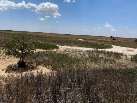 1585 Co Rd 95, Morton, TX 79346