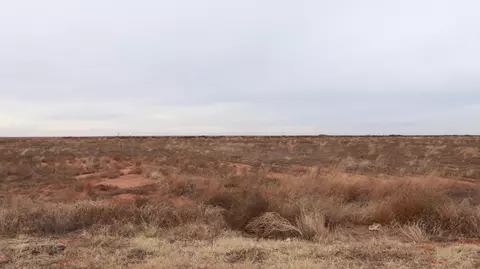 0 N 385 Hwy, Whitharral, TX 79380