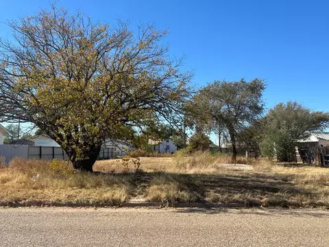 229 N Durham Ave, Crosbyton, TX 79322