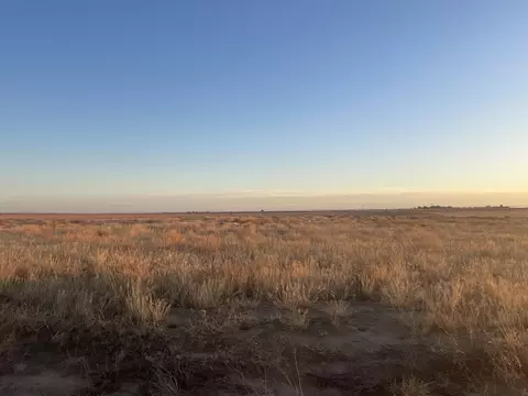 Cr 132, Loop, TX 79342 photo 2