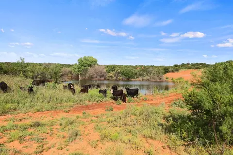 1441 Co Rd 362, Dickens, TX 79229