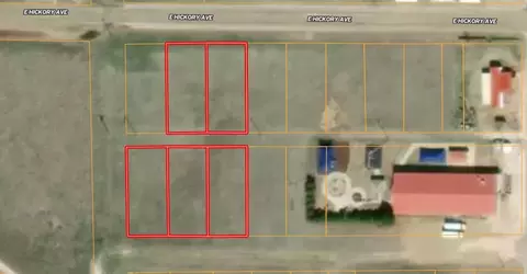 702 E Hickory Ave, Muleshoe, TX 79347
