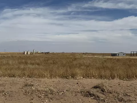 6810 County Rd 1100, Shallowater, TX 79363