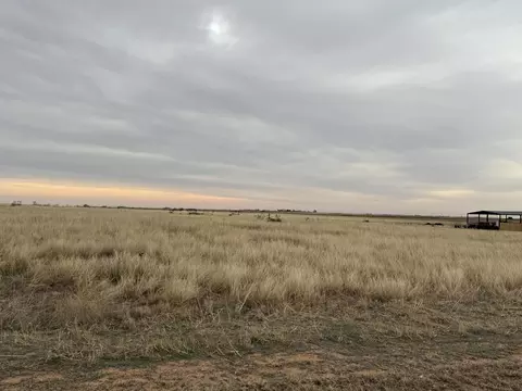 N F M 400, Idalou, TX 79329