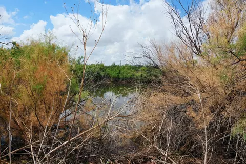 Ab 304 Sec 1225 El & Rr 24.138 Acres Blk 11 24.138 Acres, Post, TX 79356