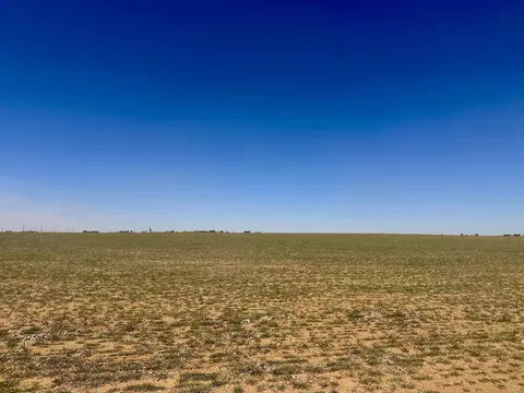 Rabbit, Ropesville, TX 79358