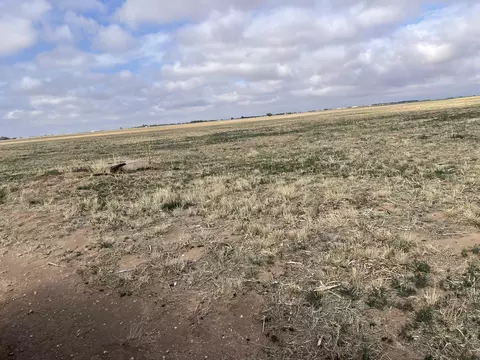 County Road 6200, Idalou, TX 79329