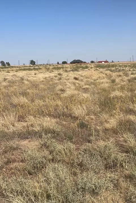 Mcmillan Farms, Levelland, TX 79336