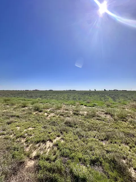Mcmillan Farms, Levelland, TX 79336