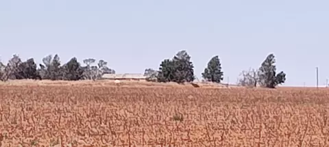 0 Cr 345, Meadow, TX 79345