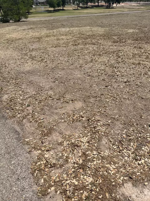 411 Mill Rd, Lubbock, TX 79403