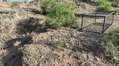 Cr 145, Post, TX 79356 photo 14
