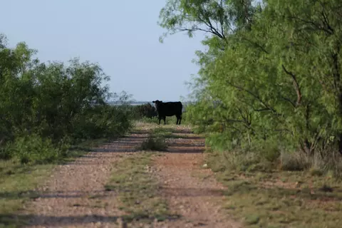 Texas 92, Hamlin, TX 79520