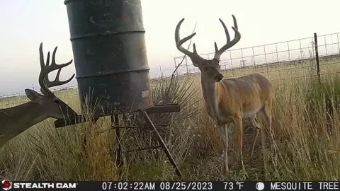 County Road 7, Turkey, TX 79261