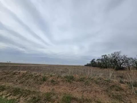 Ab 1580 Blk A-4 Sec 38 W/2 Of Nw/4, Hale Center, TX 79041