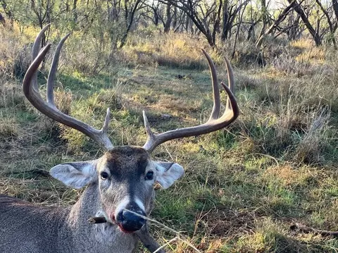 Texas 92, Hamlin, TX 79520