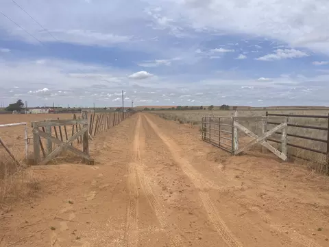 16903 N County Rd 2000, Abernathy, TX 79311