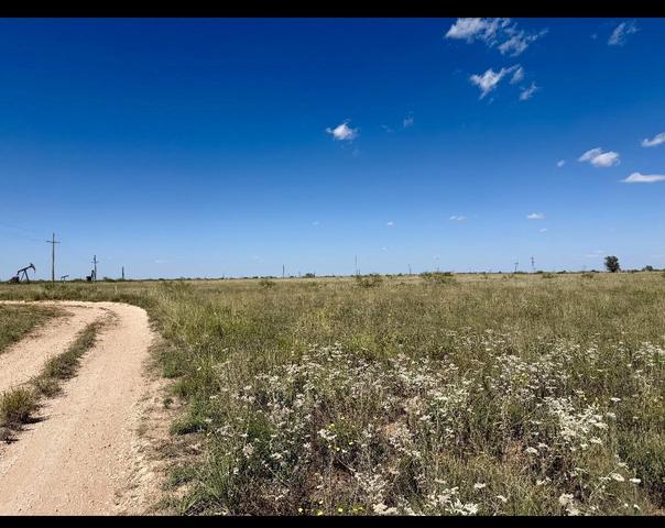 Cr 121 / Cr 290 County Road 121, Brownfield, TX 79316