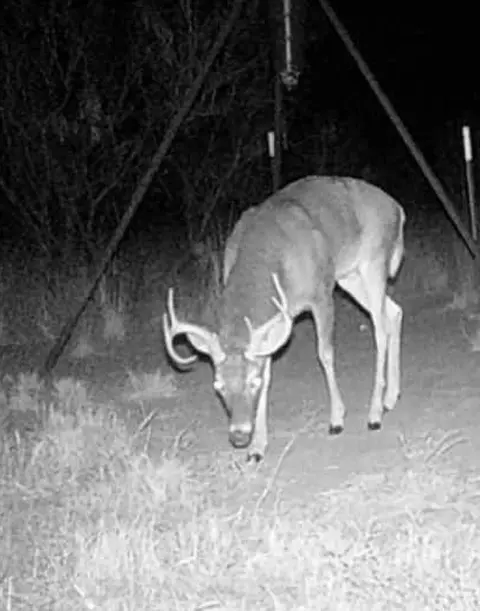 Glider Road, Lamesa, TX 79331
