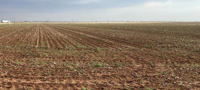 Fm 2411 Fm 2411, Lamesa, TX 79331
